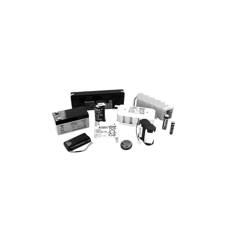 Batterie 1000SP01782 pour pompe Asena GW